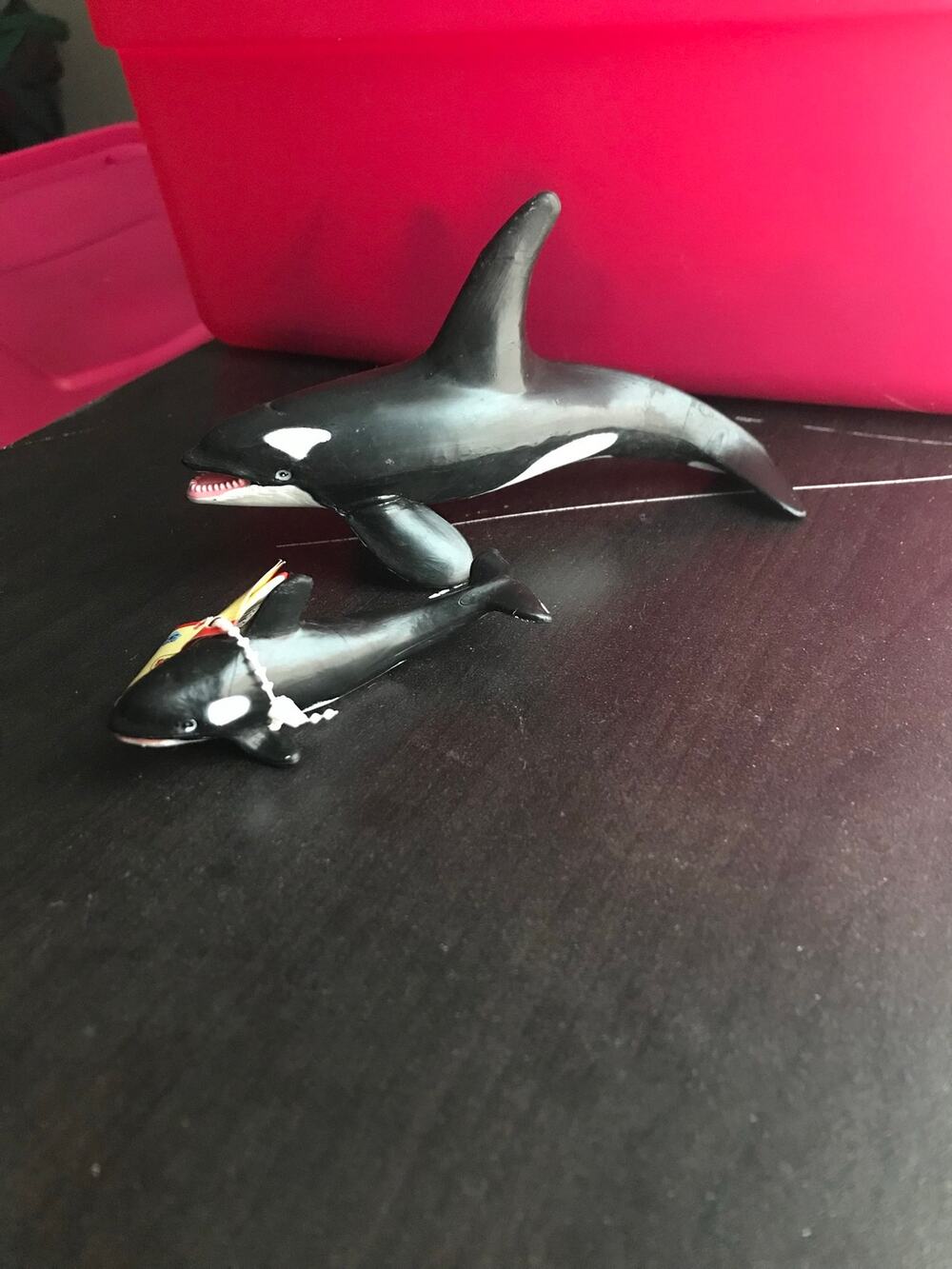 1996 Safari Killer Whale Adult and Calf